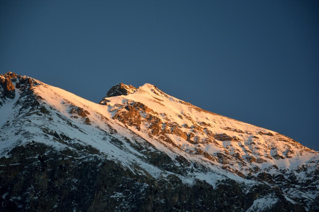 Ferienwohnungen Chesa Clois 24 Lenzerheide Exterior foto